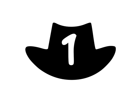 Review: Cowboy Hat with Playful Mono 1