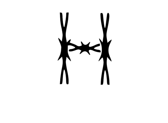 Sharp Barbed Security Wire Mono H