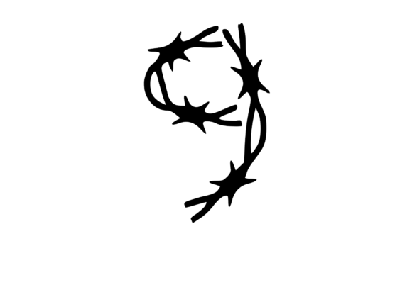 Sharp Barbed Security Wire Mono is a Gre