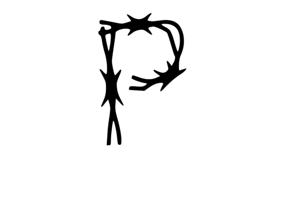 Sharp Barbed Security Wire Mono P